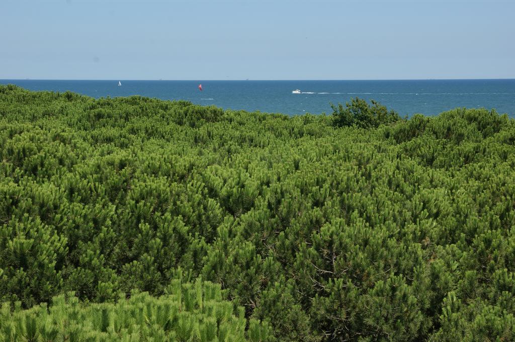 Hotel Antares Cervia Bagian luar foto